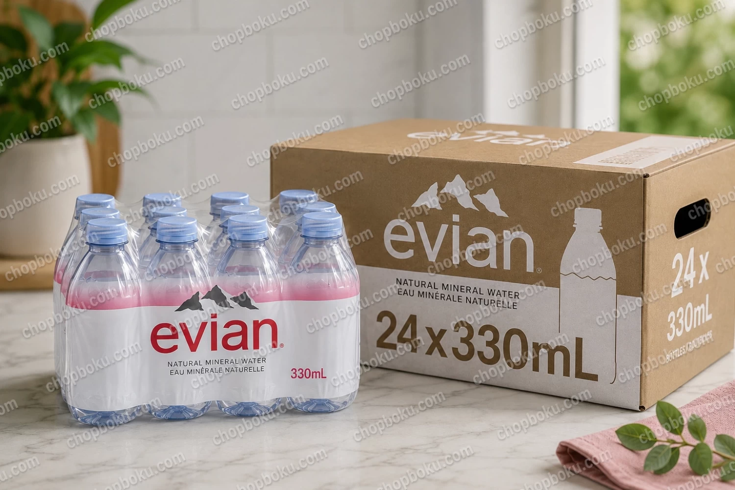 Evian Natural Mineral Water 330ml (24 x 33cl) – Premium French Mineral Water in Lagos Nigeria