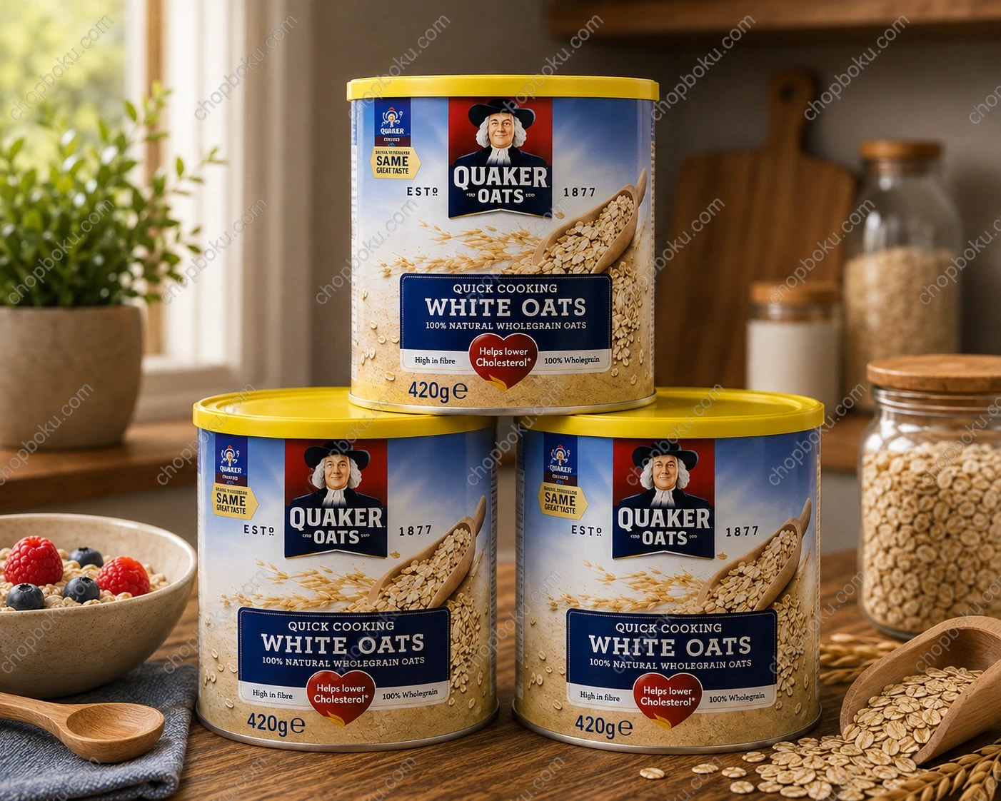 Quaker White Oats 420g Tin
