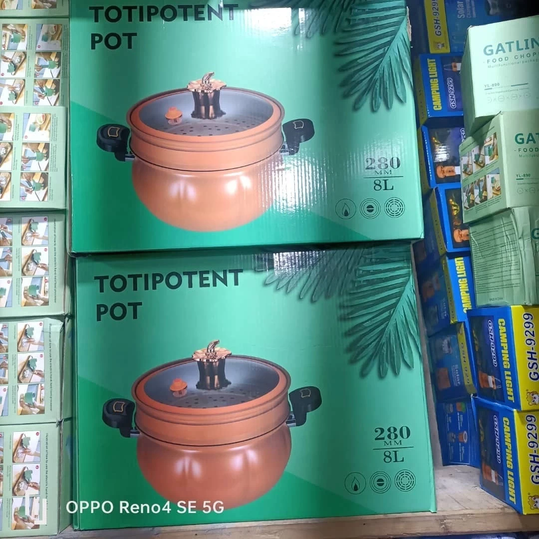 Totipotent Cooking Pot – Durable Multi-Purpose Kitchen Pot for Soup, Rice & Stew | Buy in Lagos Nigeria (Bulk & Retail)